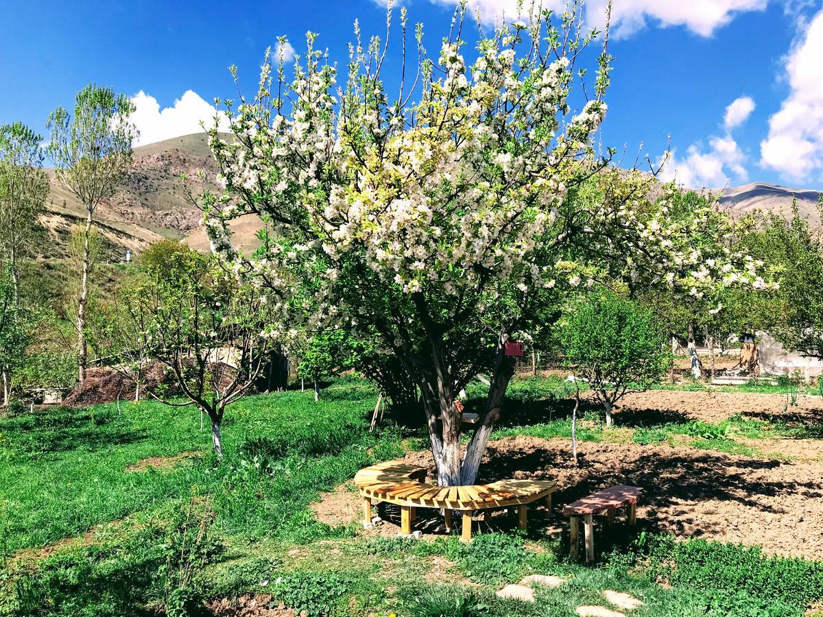 Ashot & Gohar B&B Chʼiva Buitenkant foto